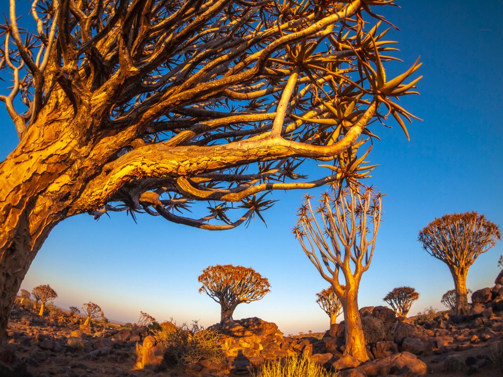 Namibia